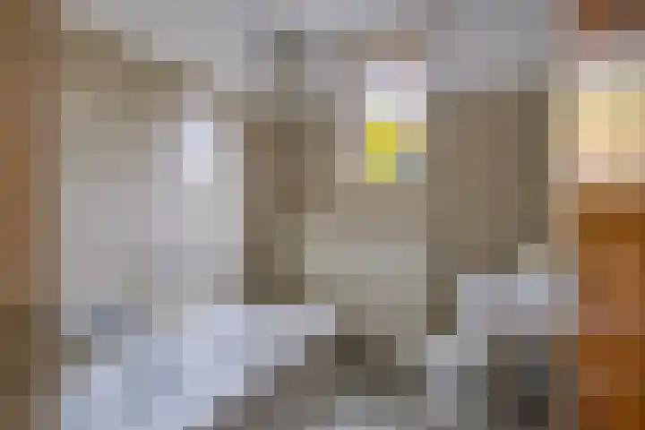 Savelveld 18 Stramproy thumbnail 18