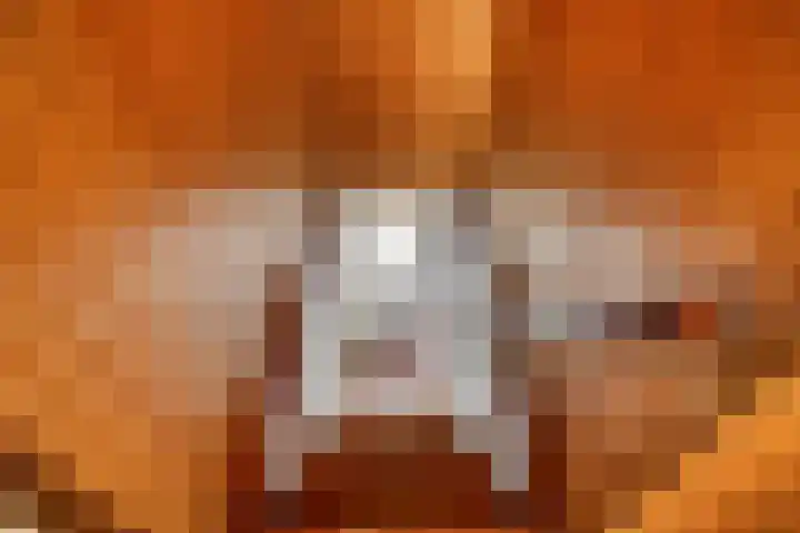 Savelveld 18 Stramproy thumbnail 19