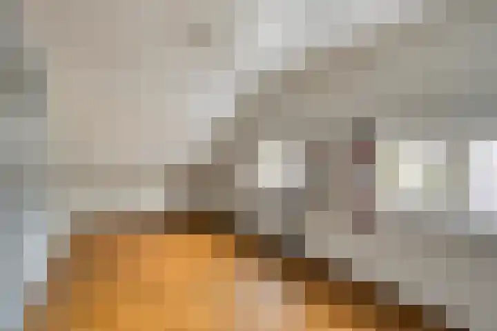 Savelveld 18 Stramproy thumbnail 21