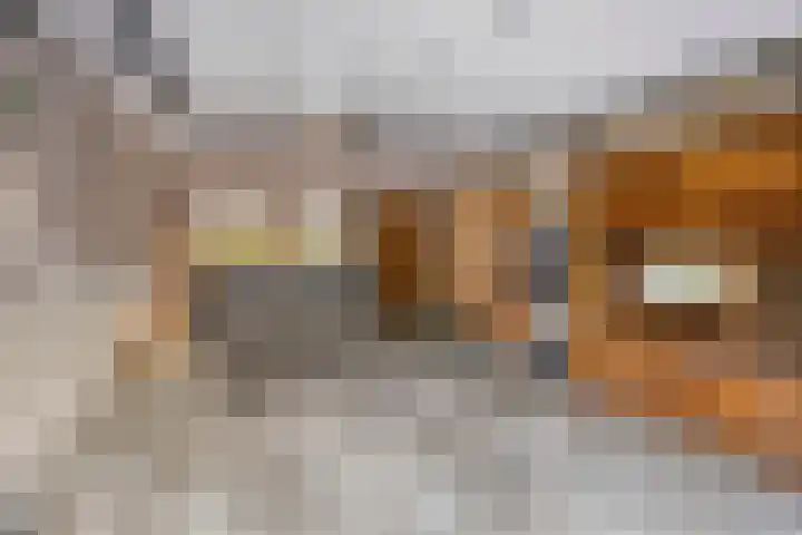 Savelveld 18 Stramproy thumbnail 25