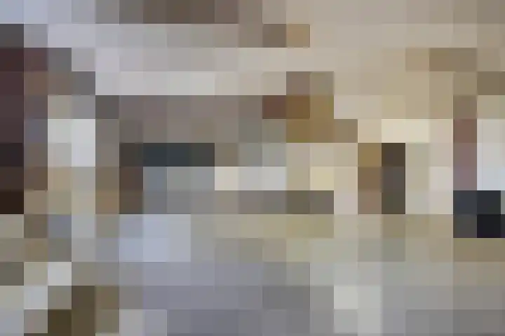Savelveld 18 Stramproy thumbnail 28