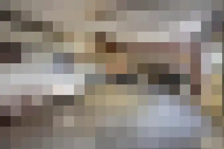 Savelveld 18 Stramproy thumbnail 29