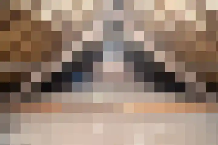 Savelveld 18 Stramproy thumbnail 30