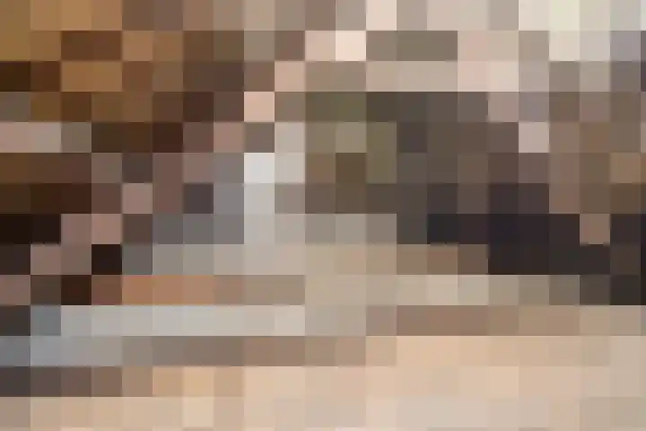 Savelveld 18 Stramproy thumbnail 31