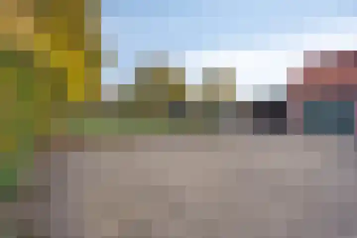 Savelveld 18 Stramproy thumbnail 33