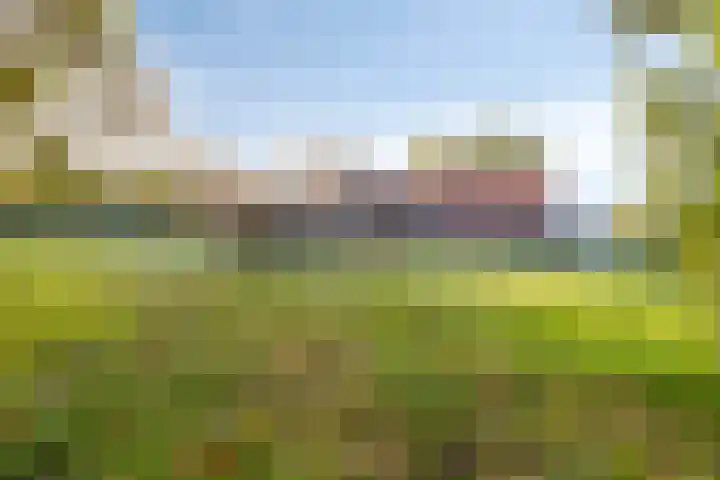 Savelveld 18 Stramproy thumbnail 34