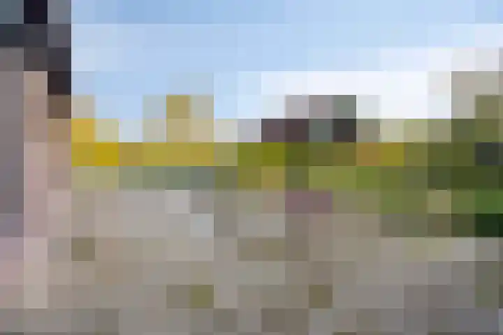 Savelveld 18 Stramproy thumbnail 38