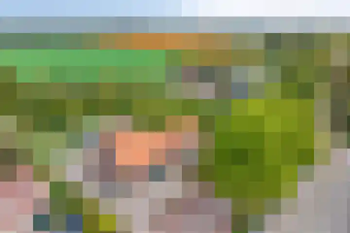 Savelveld 18 Stramproy thumbnail 42