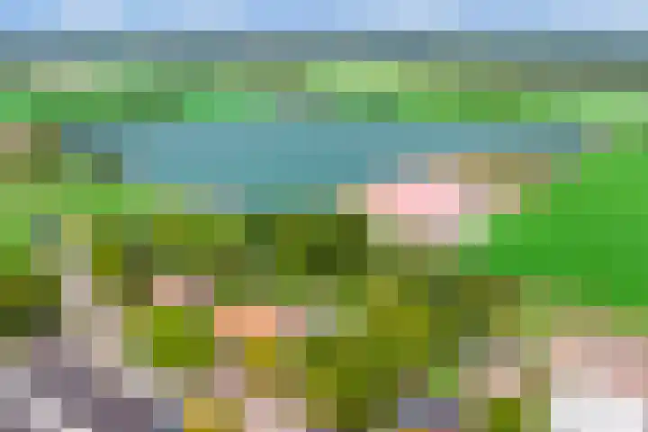 Savelveld 18 Stramproy thumbnail 43