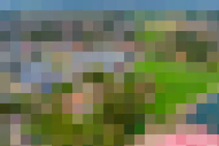 Savelveld 18 Stramproy thumbnail 44