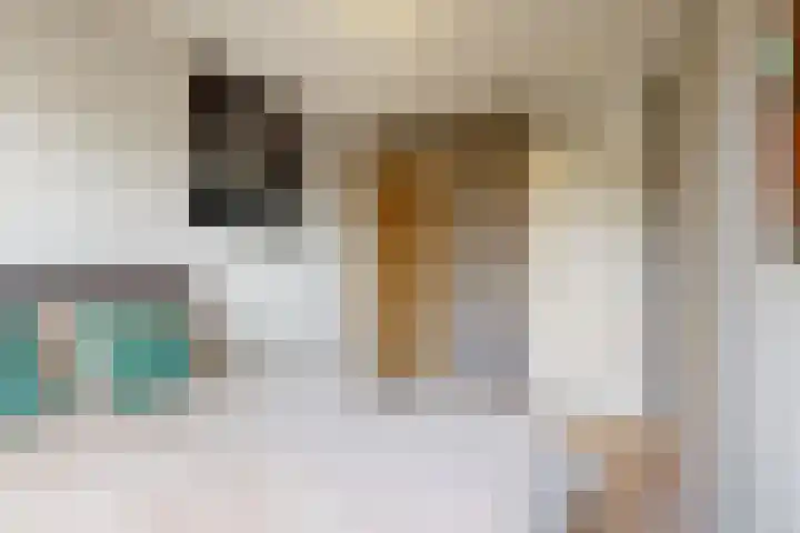 Sawahstraat 21 Purmerend thumbnail 22