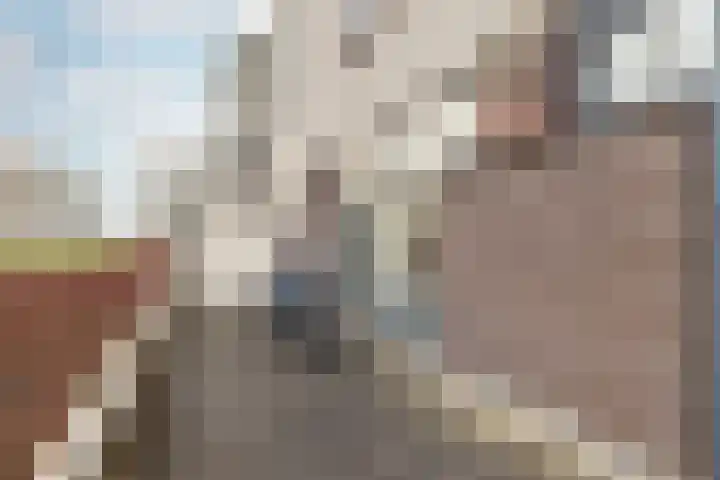 Sawahstraat 29 Purmerend thumbnail 27