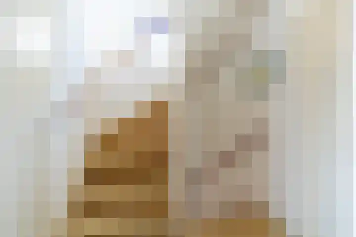 Sawahstraat 29 Purmerend thumbnail 35