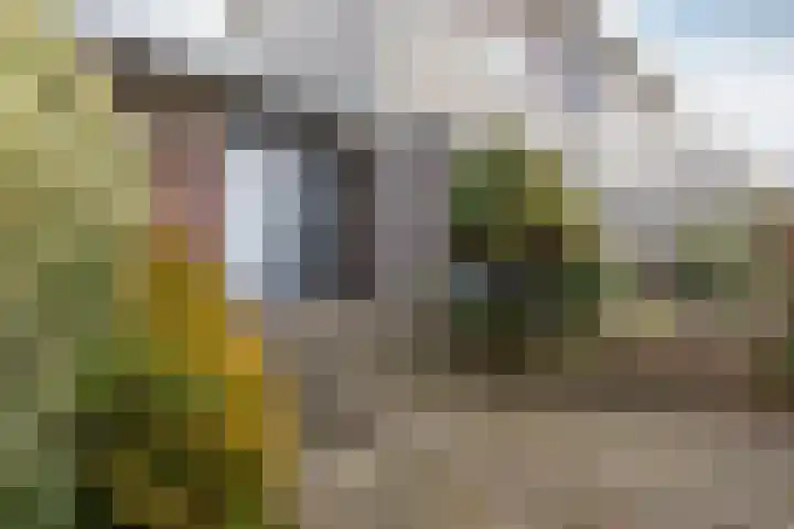 Sawahstraat 29 Purmerend thumbnail 7