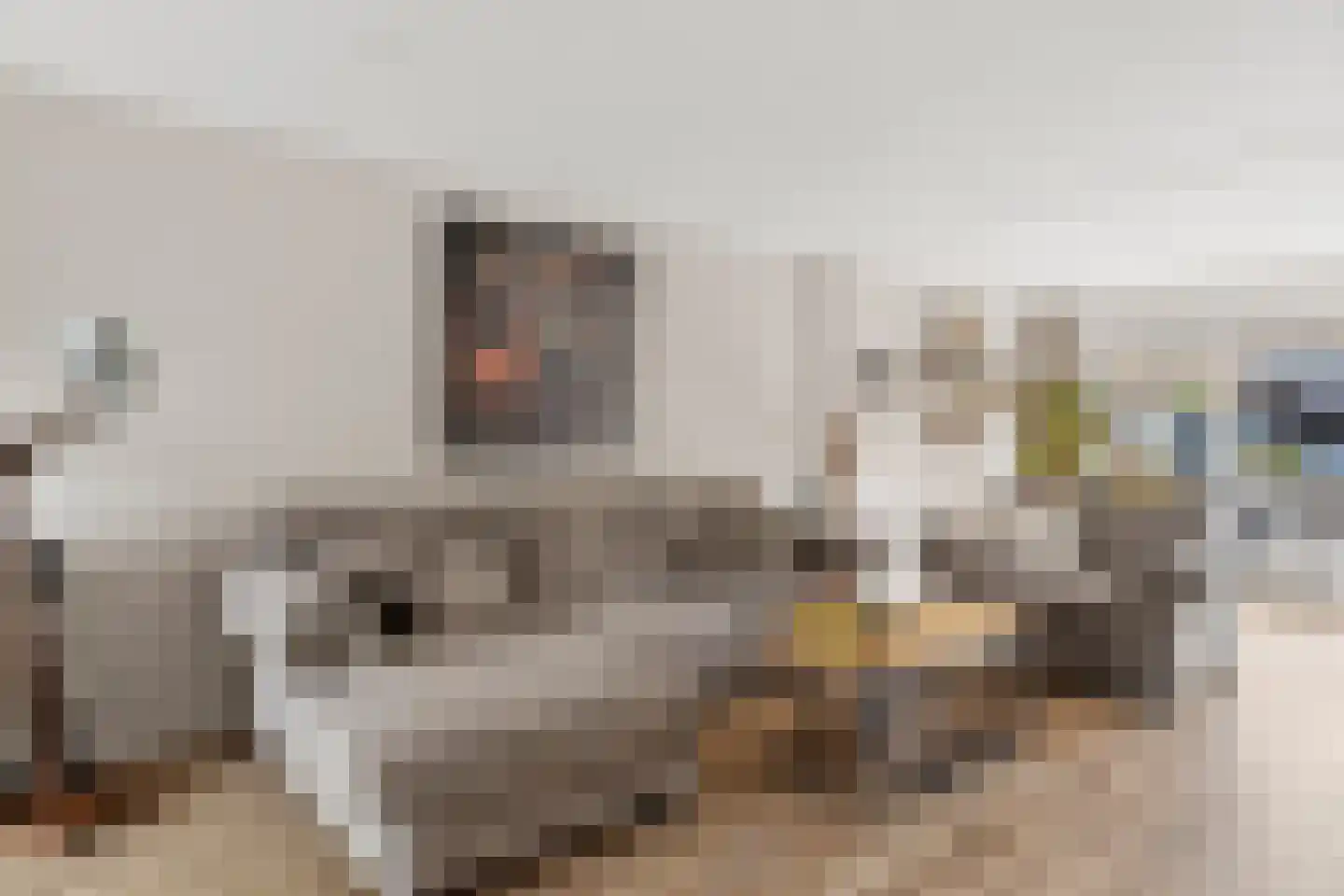 Sawahstraat 36 Purmerend thumbnail 7