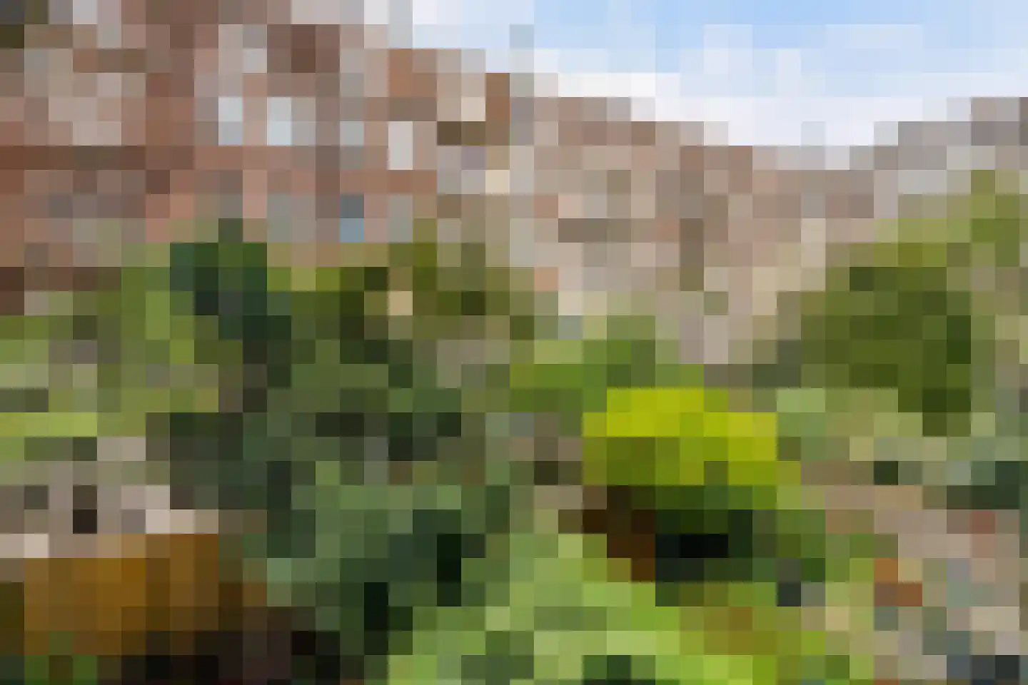 Saxen-Weimarlaan 12 2 Amsterdam thumbnail 14