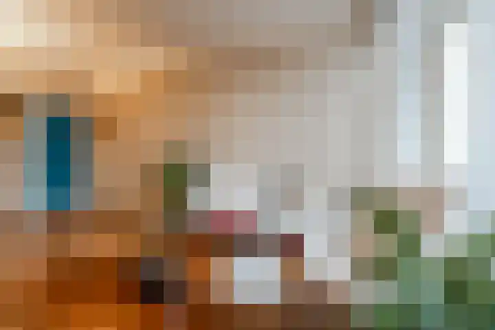 Saxen-Weimarlaan 12 A 2 Amsterdam thumbnail 12