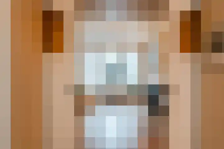 Saxen-Weimarlaan 12 A 2 Amsterdam thumbnail 7