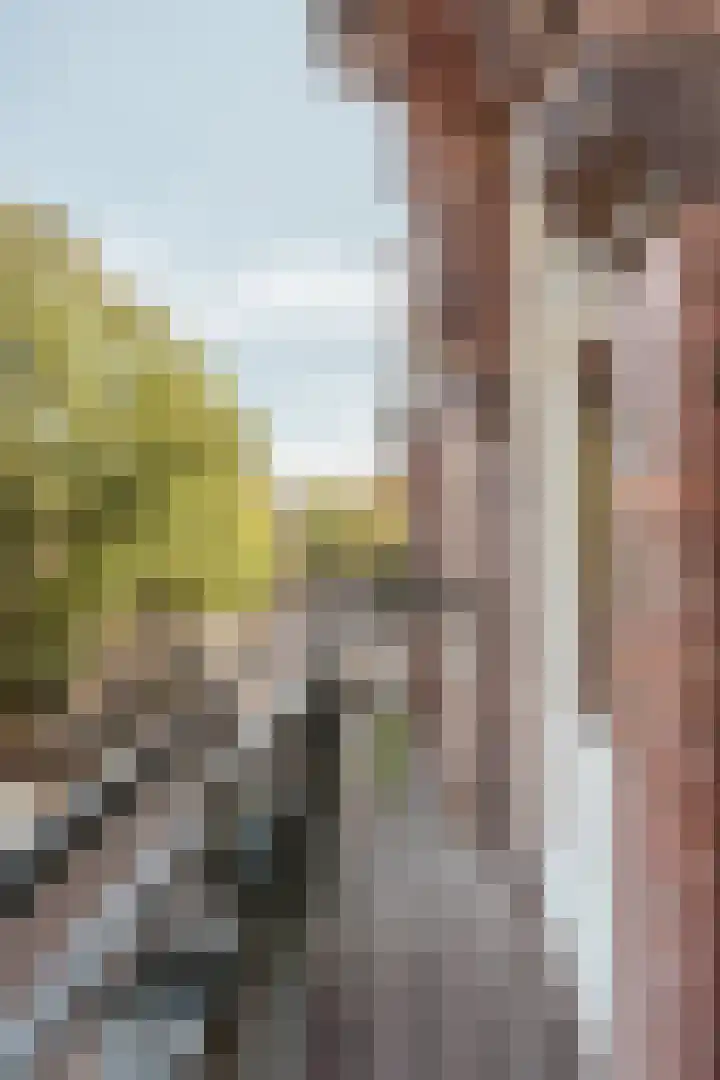 Saxen-Weimarlaan 40 1 Amsterdam thumbnail 6