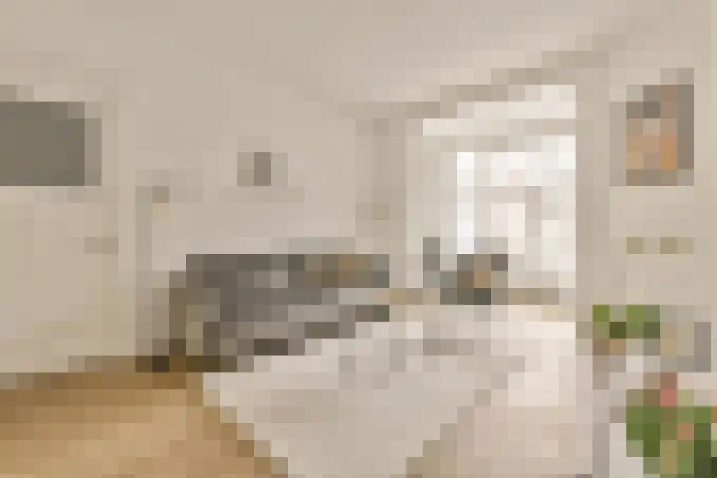Saxen-Weimarlaan 46 2 Amsterdam thumbnail 6