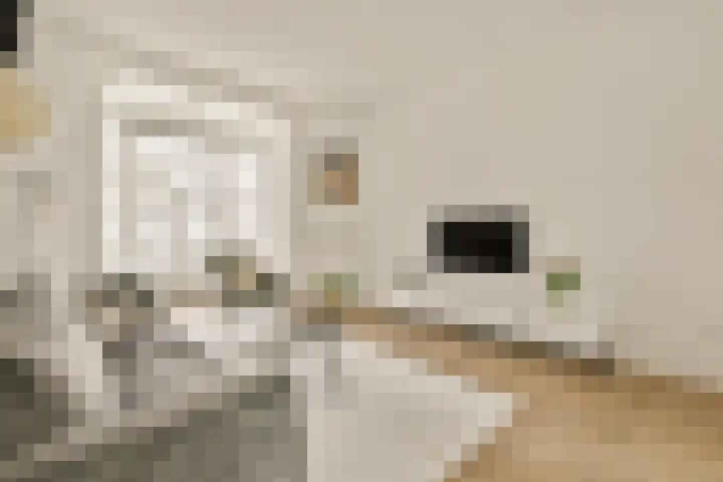 Saxen-Weimarlaan 46 3 Amsterdam thumbnail 7