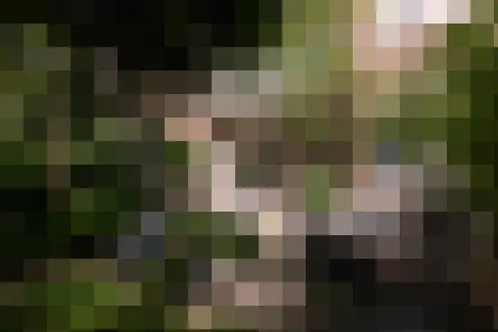 Saxen-Weimarlaan 8 Amsterdam thumbnail 15
