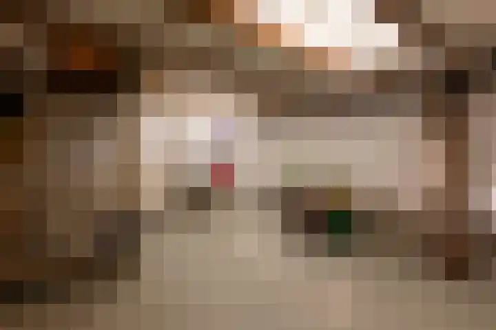 Saxen-Weimarlaan 8 Amsterdam thumbnail 33