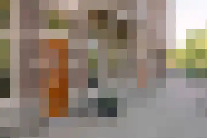 Saxen-Weimarlaan 8 Amsterdam thumbnail 34