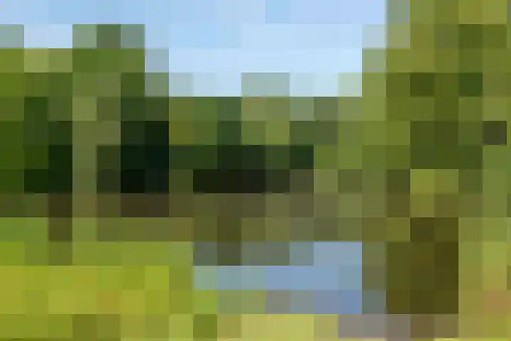 Saxen-Weimarlaan 8 Amsterdam thumbnail 37