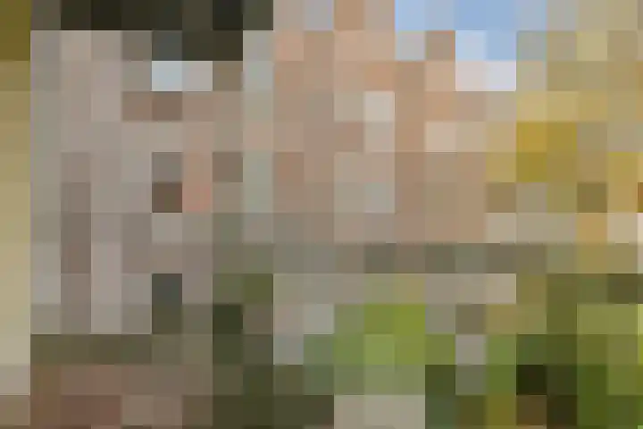Saxenburgerdwarsstraat 7 H Amsterdam thumbnail 15