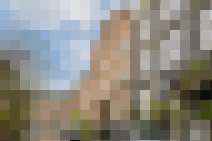 Saxenburgerdwarsstraat 7 H Amsterdam thumbnail 20