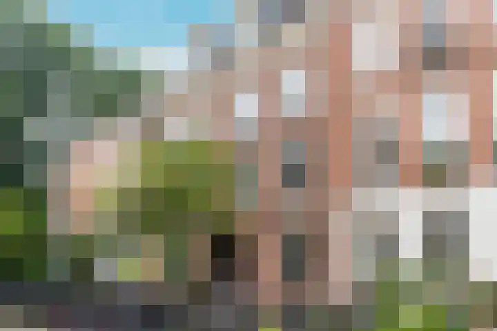 Saxenburgerstraat 24 1 Amsterdam thumbnail 6