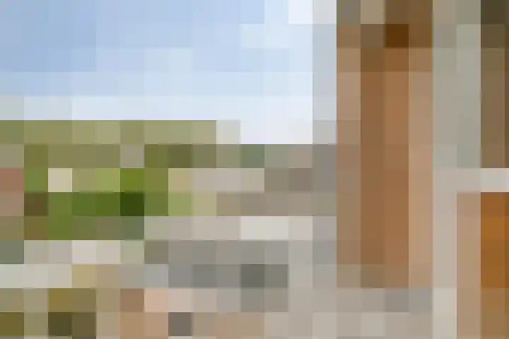 Saxenoord 11 Rotterdam thumbnail 15