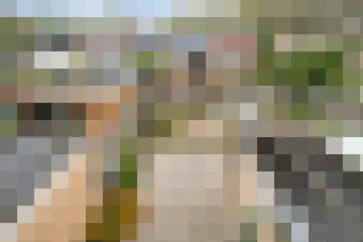 Saxenoord 11 Rotterdam thumbnail 17