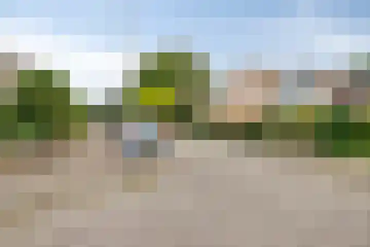 Saxenoord 11 Rotterdam thumbnail 30