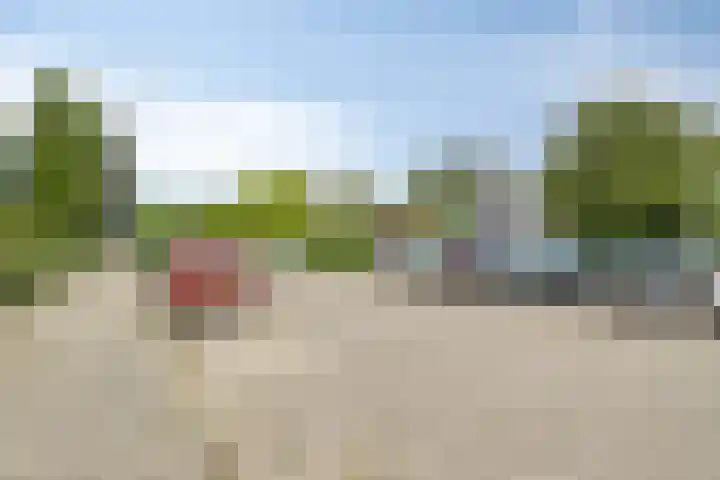 Saxenoord 11 Rotterdam thumbnail 31
