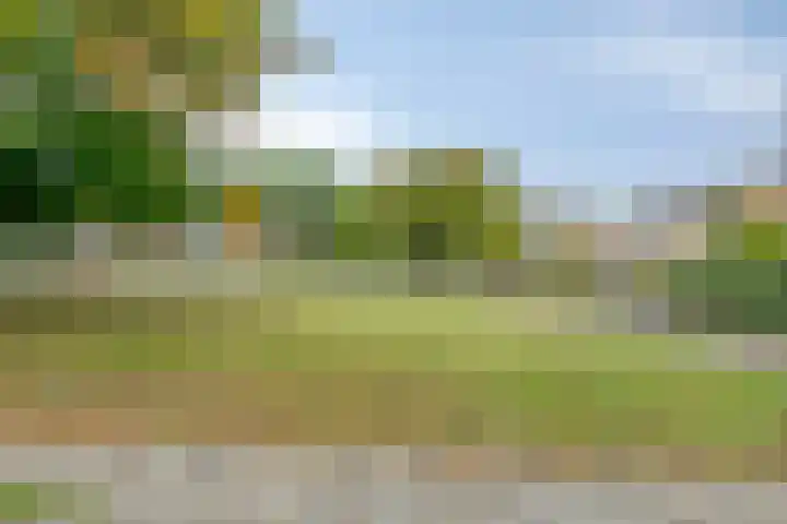 Saxenoord 11 Rotterdam thumbnail 32