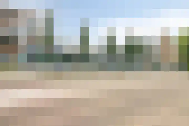 Saxenoord 11 Rotterdam thumbnail 33