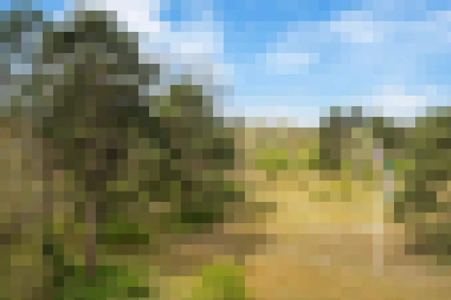Saxenrodeweg 130 Bentveld thumbnail 33