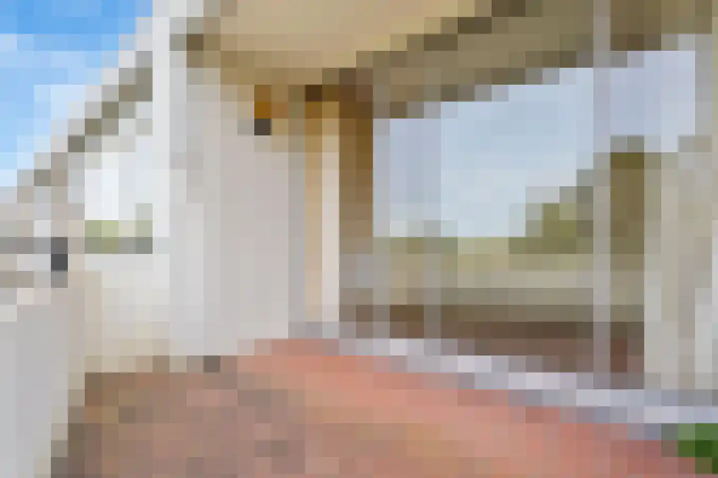 Saxenrodeweg 130 Bentveld thumbnail 34