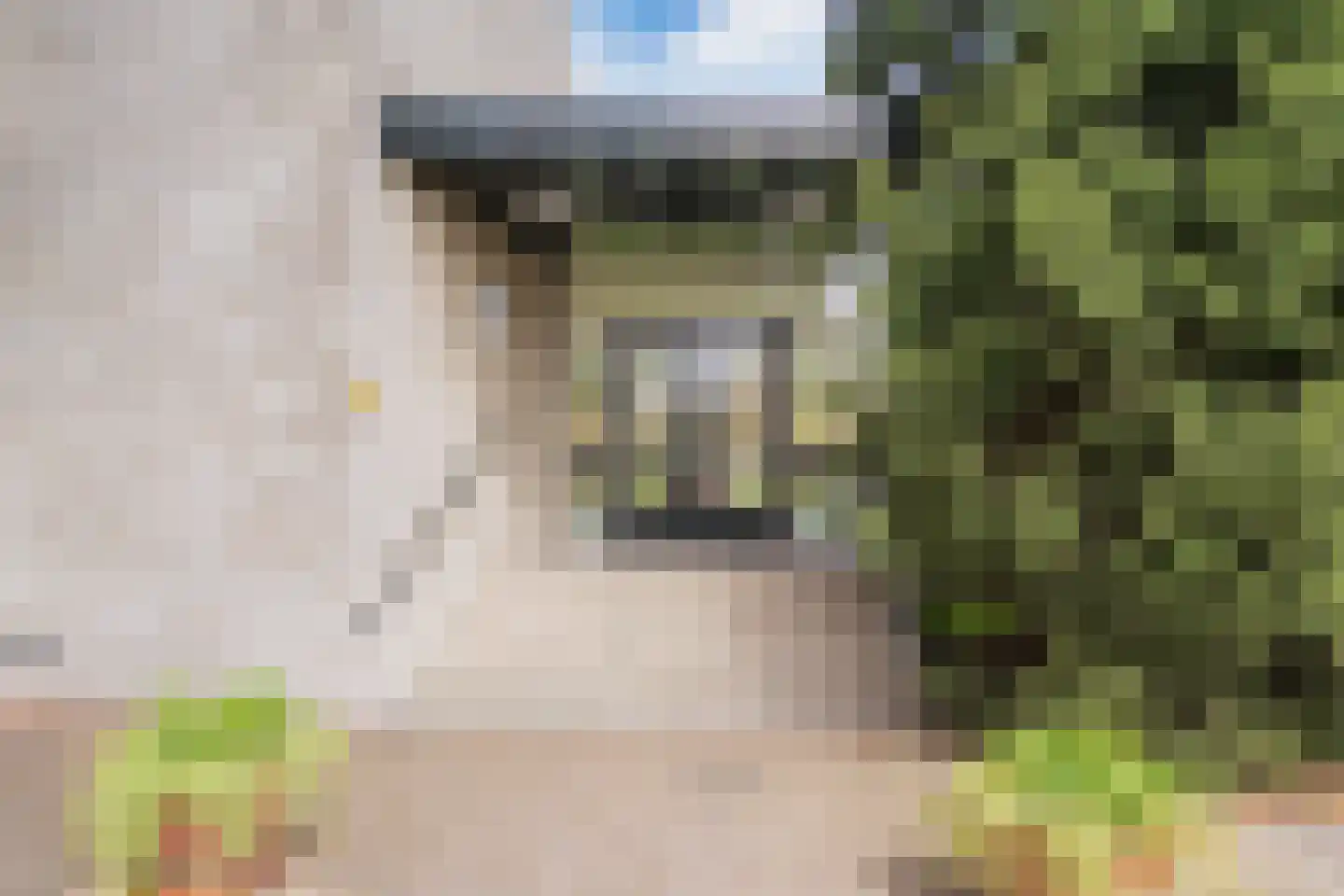 Saxenrodeweg 130 Bentveld thumbnail 6