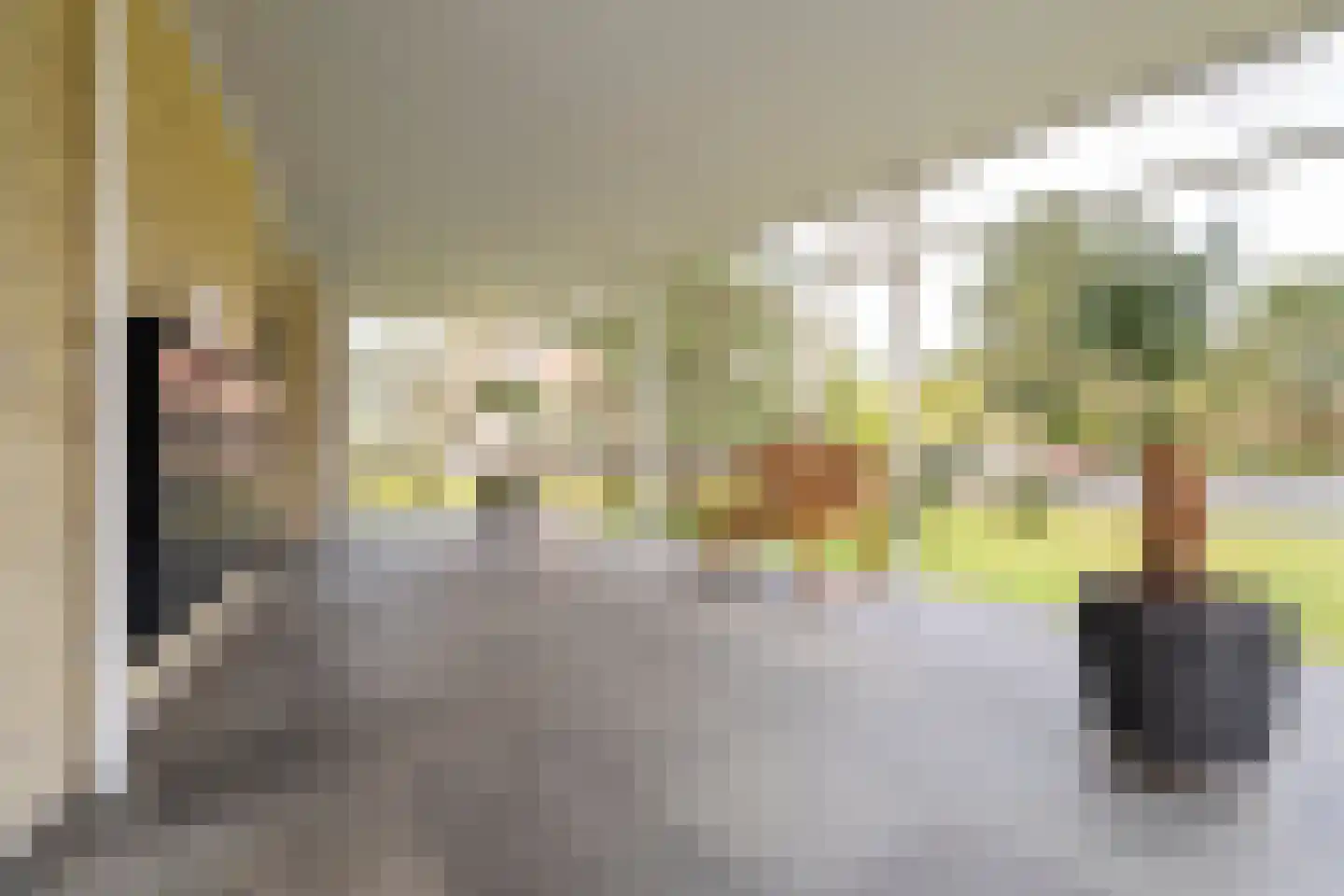 Saxenrodeweg 130 Bentveld thumbnail 8