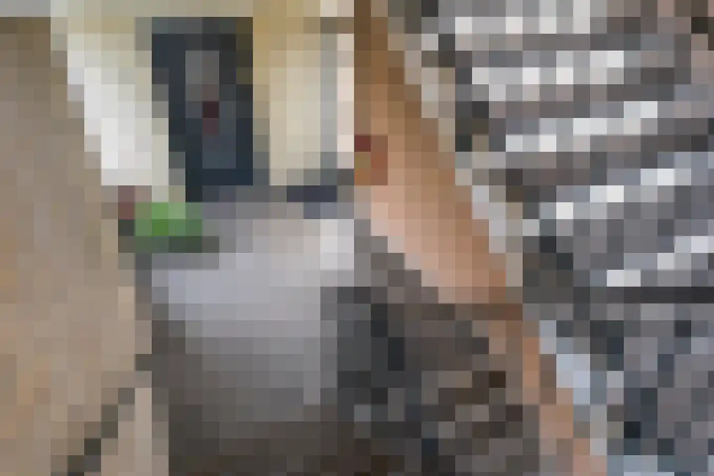 Saxenrodeweg 130 Bentveld thumbnail 9