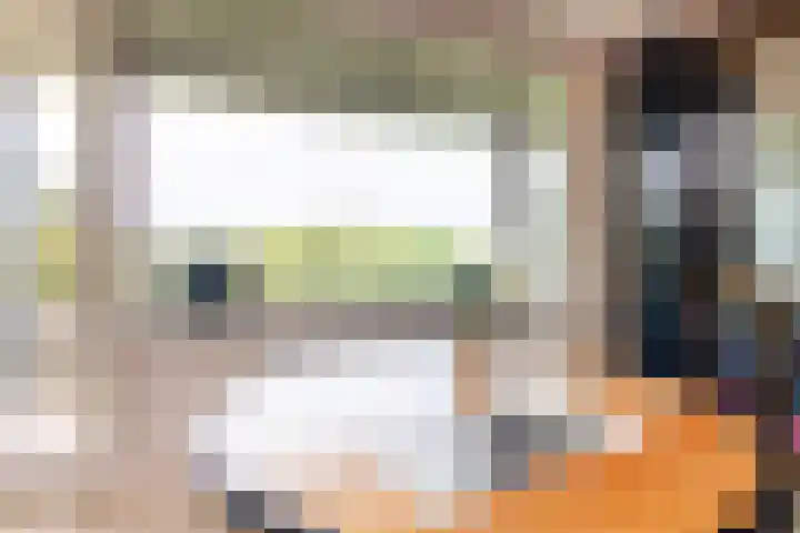 Saxenrodeweg 20 Bentveld thumbnail 22
