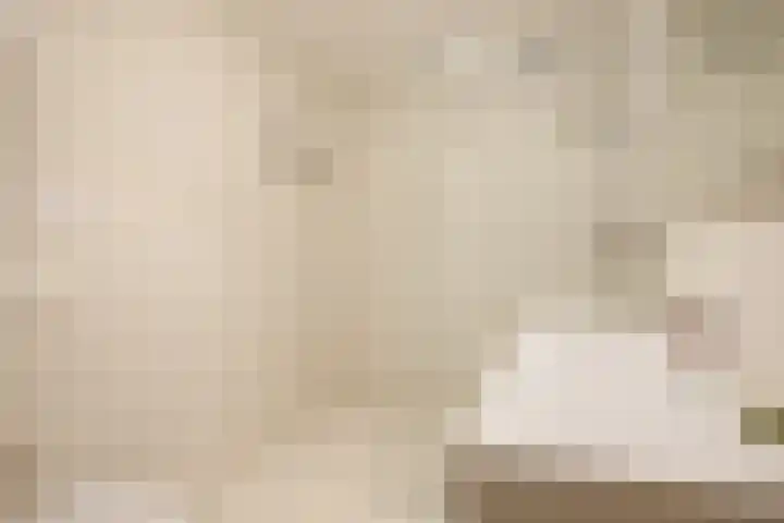 Saxenrodeweg 20 Bentveld thumbnail 27