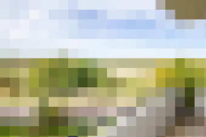 Saxenrodeweg 20 Bentveld thumbnail 31