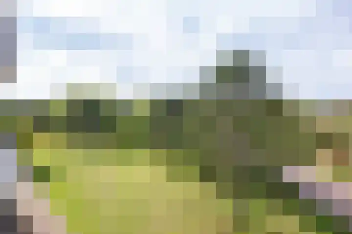 Saxenrodeweg 20 Bentveld thumbnail 32