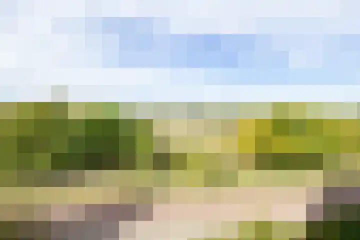 Saxenrodeweg 20 Bentveld thumbnail 33