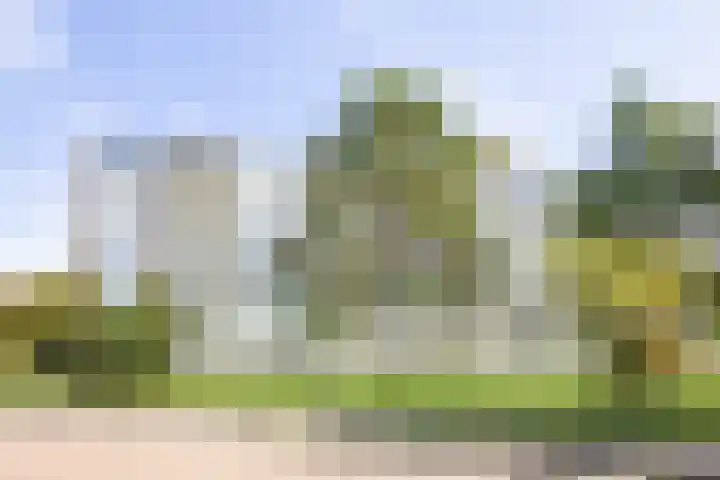 Saxenrodeweg 20 Bentveld thumbnail 35