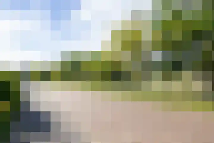 Saxenrodeweg 20 Bentveld thumbnail 37